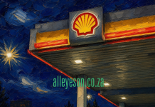 New Owner Lined Up for Nearly 600 Shell Petrol Stations in South Africa