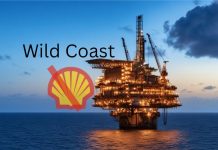 Constitutional Court Blocks Shell’s Wild Coast Oil Exploration