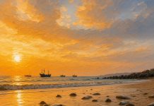 Pilchard Herpes virus Detected in West Coast Sardines for First Time