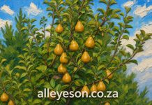 Cape Town Port Improves Ahead of Critical Fruit Export Season